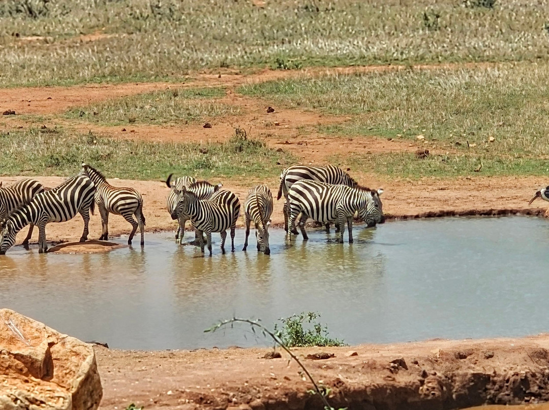 Tourfix Safaris Kenya-Mara North Conservancy必去景点