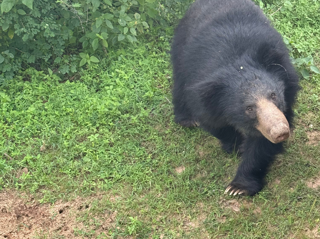 Lanka Tracker - Day Tours-马塔拉必去景点