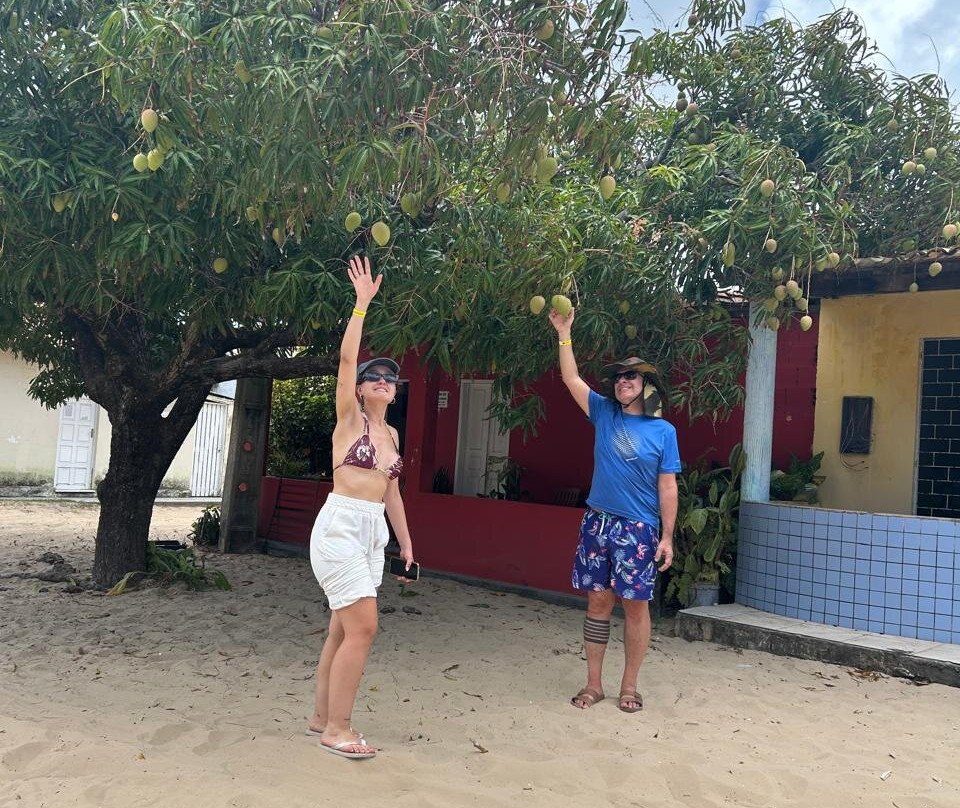 Praia de Mangue Seco-Mangue Seco必去景点