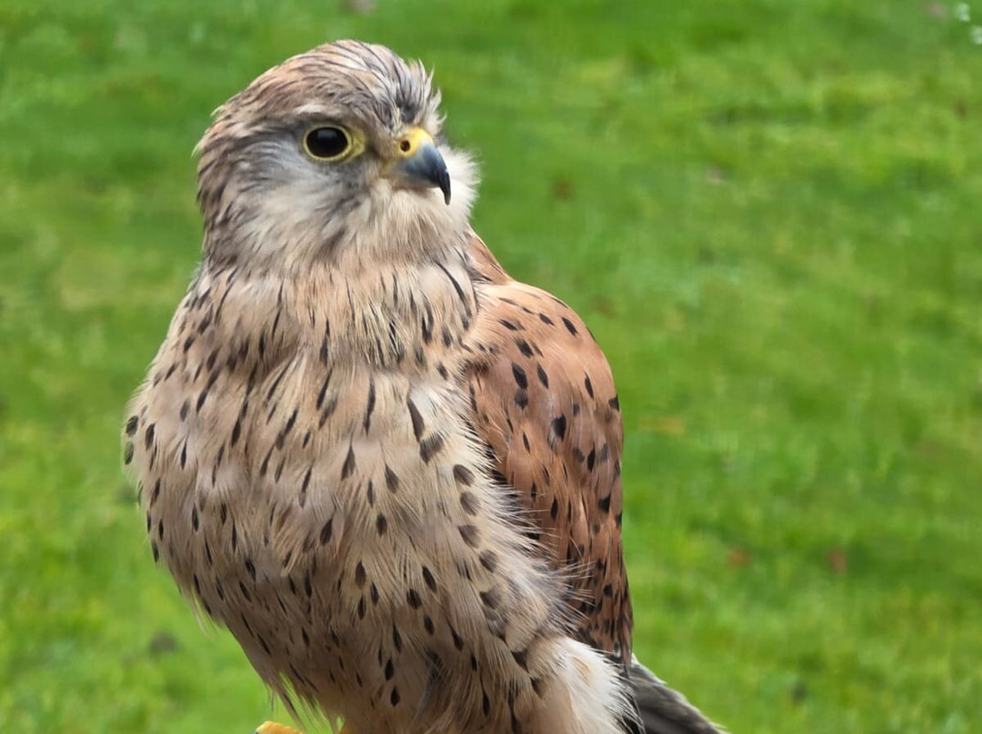 Zoo de La Fleche-La Fleche必去景点