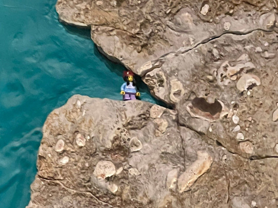 澳大利亚北部博物馆与美术馆-达尔文市必去景点