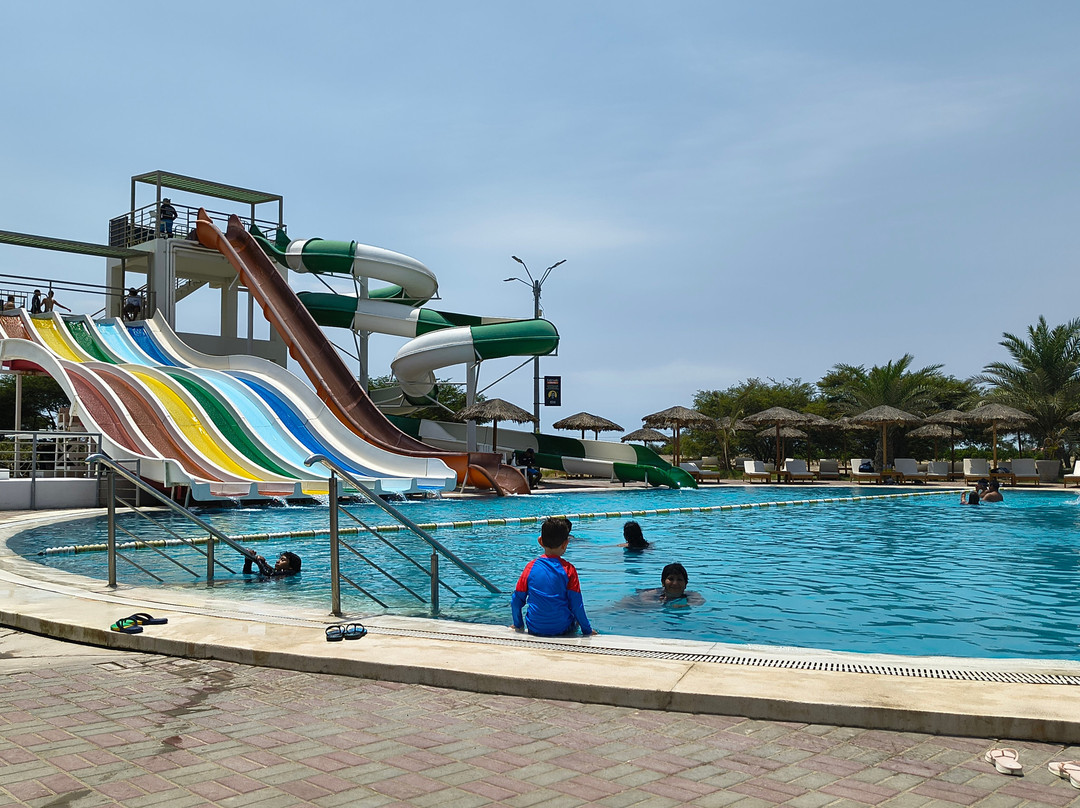 Dromedarius-伊卡必去景点