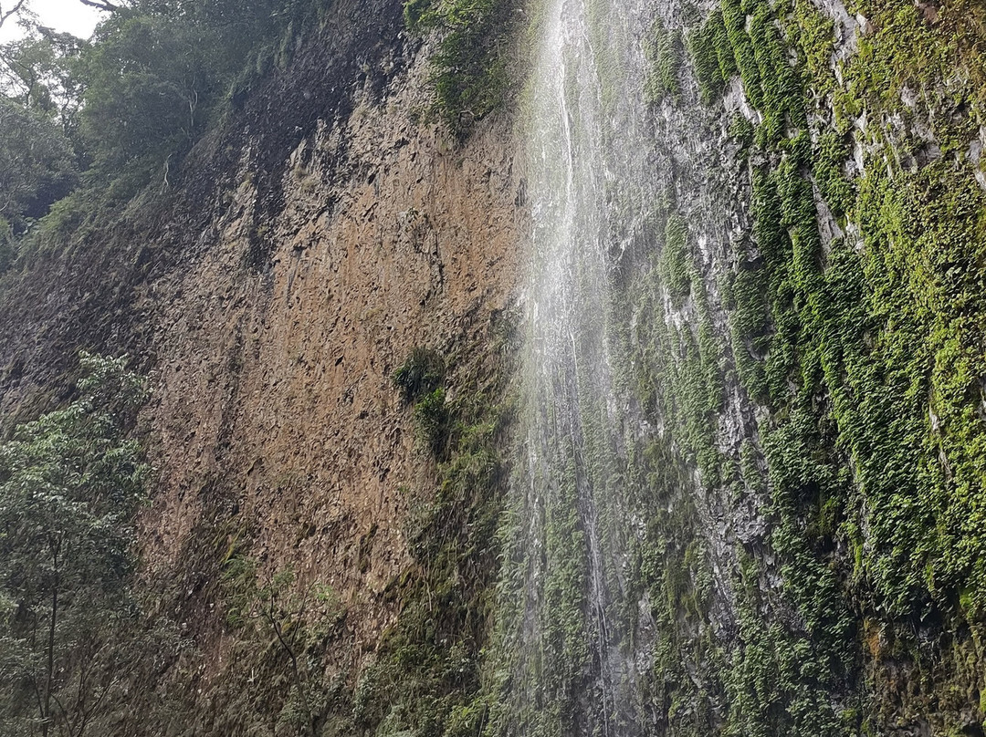 Cachoeira Da Meditacao