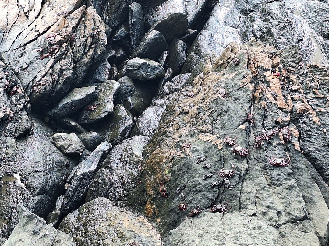 Strandpromenade San Agustin-San Agustin必去景点
