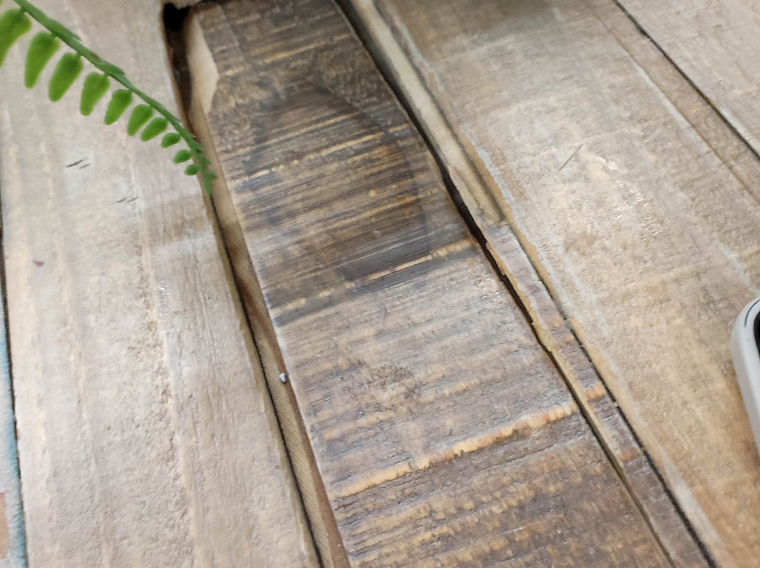 Forbes of Kingennie Country Resort-敦提必去景点