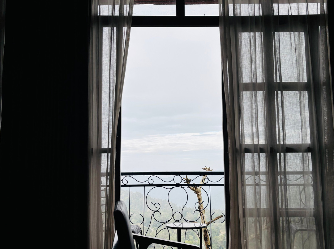 Mango Hill Yercaud主图