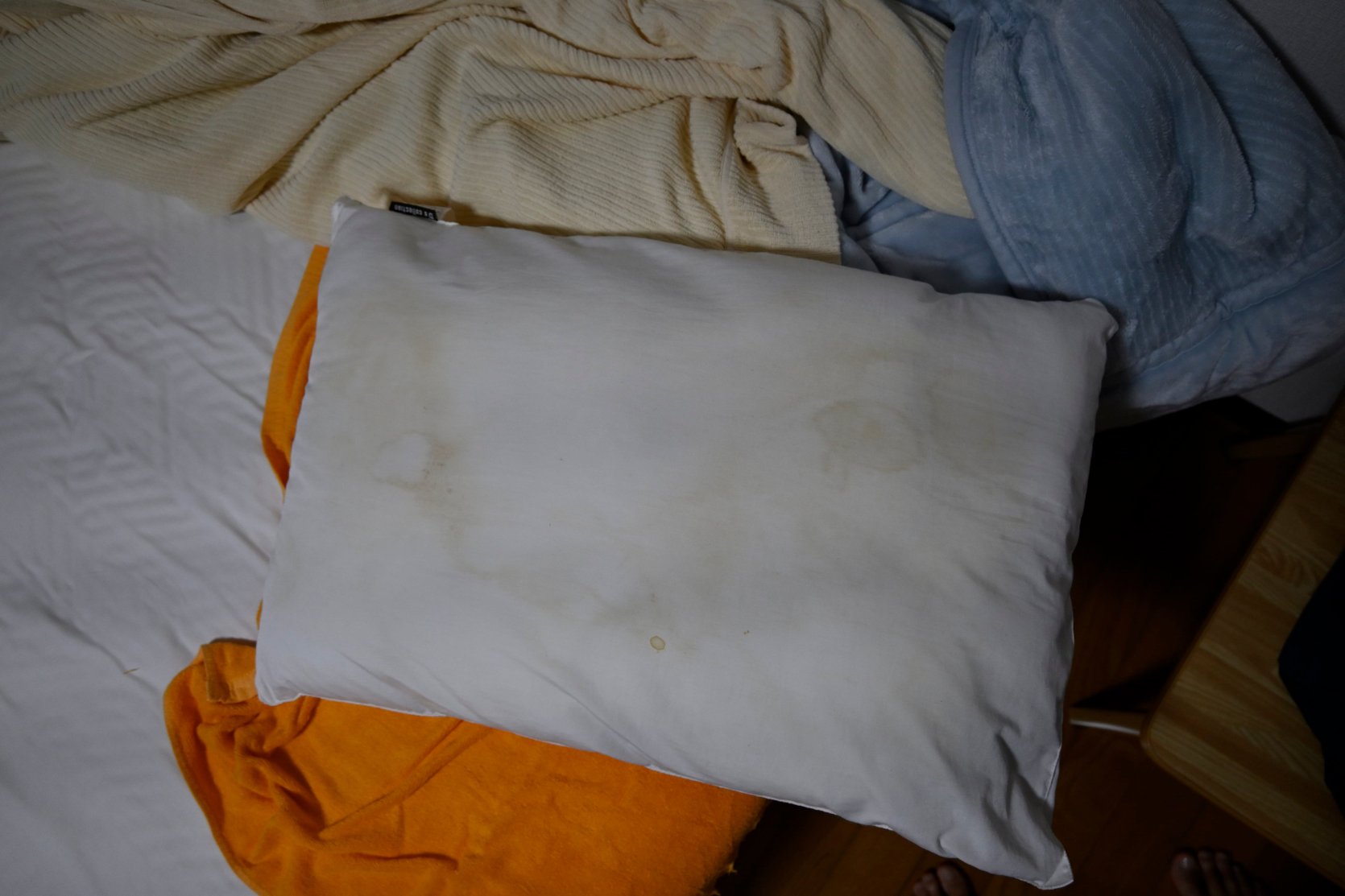 Pension Seasir-官方