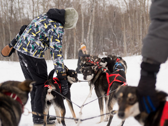 Campbell's Racing Sled Dogs-Melfort必去景点
