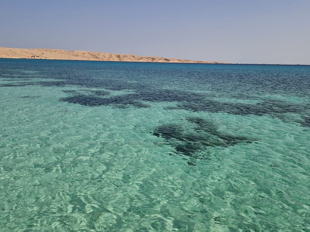 Delfinausflug Mit MO-赫尔格达必去景点