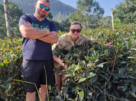 Manu Tours & Travels-亚洪加拉必去景点