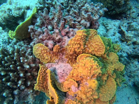 British Diving Hurghada-赫尔格达必去景点