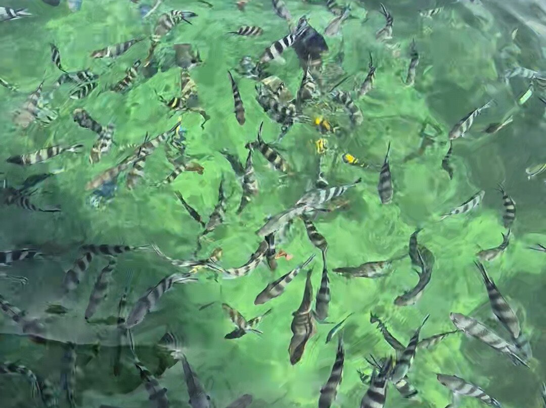 Enrico Safari Kenia-瓦塔木必去景点