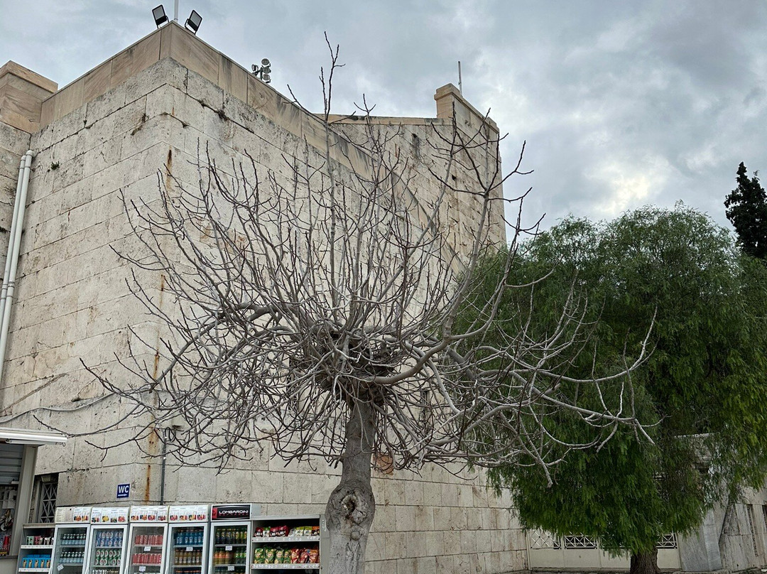 帕纳辛纳科斯体育场-雅典必去景点