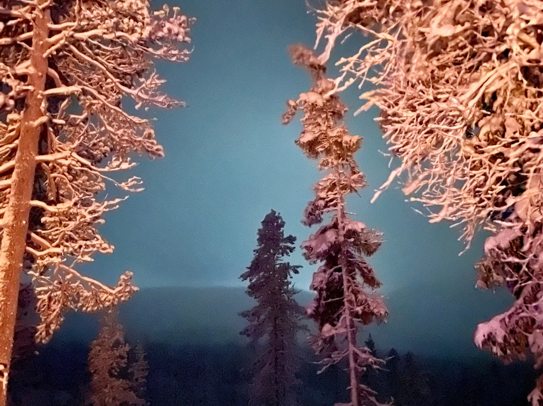 Lapland Travel-Akaslompolo必去景点