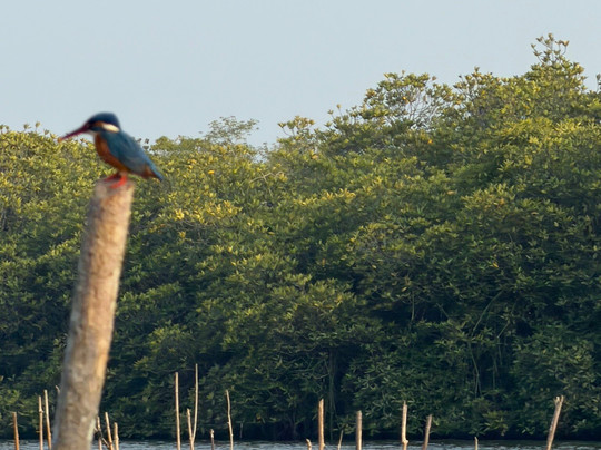 See Lanka Travels-Waikkal必去景点