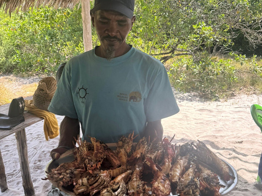 Safari In Kenya Con Samba-瓦塔木必去景点