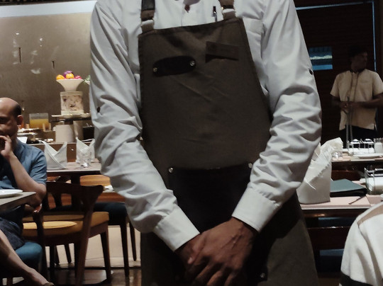 Effotel by Sayaji Bhopal主图