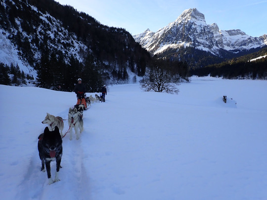 Fischer Adventures Day Tours-圣加仑必去景点