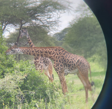 Maisha Adventures-阿鲁沙必去景点