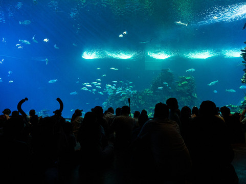Gran Acuario Mazatlán Mar de Cortés-马萨特兰必去景点