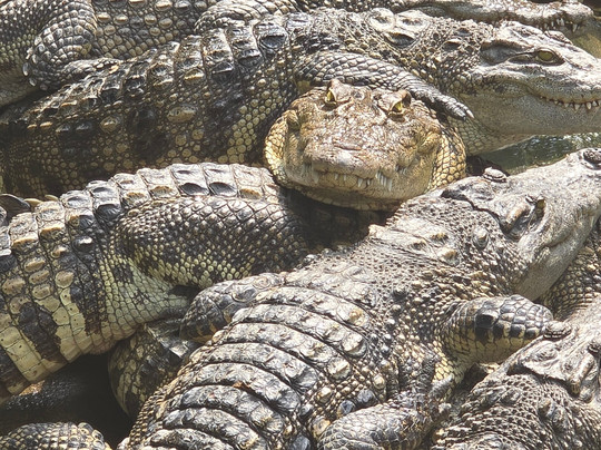 VIVAGO TRAVEL-河内必去景点