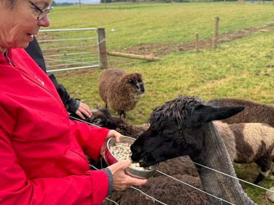 Woodstone Farm, Te Anau, New Zealand-蒂阿瑙必去景点
