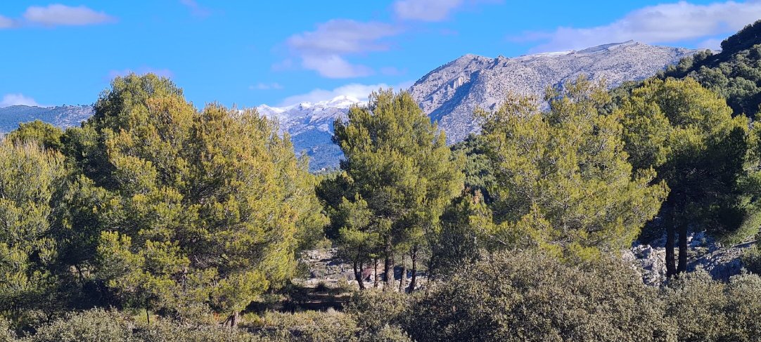 Hotel Rural Los Nogales-官方