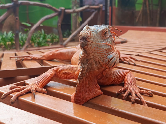 Fundera Park-Yelagiri必去景点