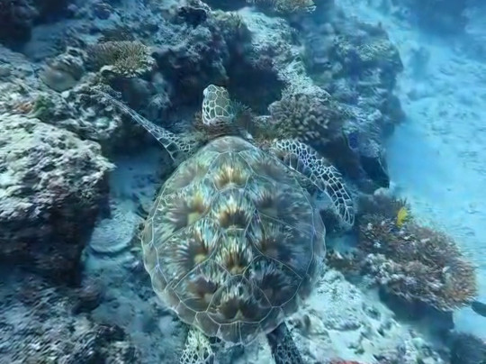 Gaadi Tours-康杜玛岛必去景点