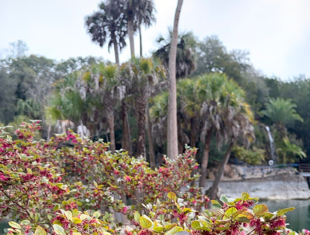 Cedar Lakes Woods & Gardens-Williston必去景点