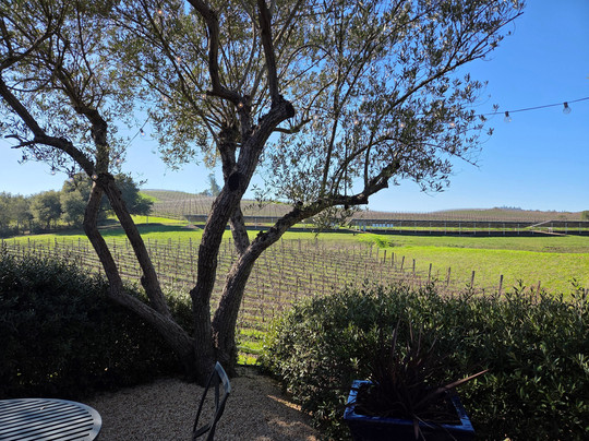 Fontanella Family Winery-纳帕必去景点