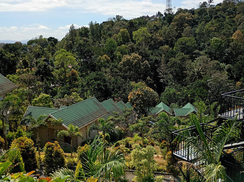 Aveda Mountains And Mist - Munnar主图