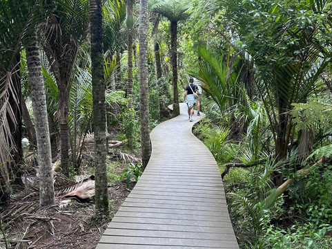Kitekite Falls-皮哈海滩必去景点