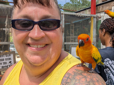 Parotte Ville Bird Sanctuary-圣马丁岛必去景点