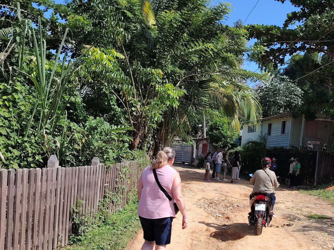 Discover Vinales-维纳勒斯必去景点