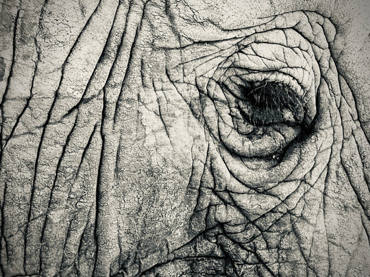 Kampur Travel Diaries-内罗毕必去景点