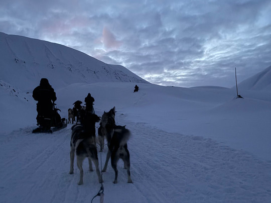 Green Dog Svalbard-朗伊尔城必去景点