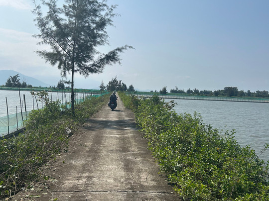 Vietnam Motorbike Tours - Bao Easyrider-岘港必去景点