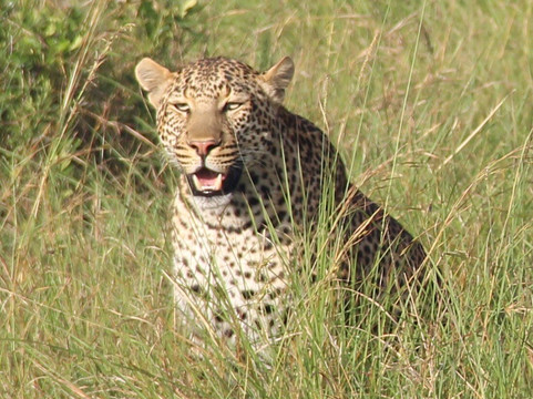 Earthwings Tours and Safaris-内罗毕必去景点