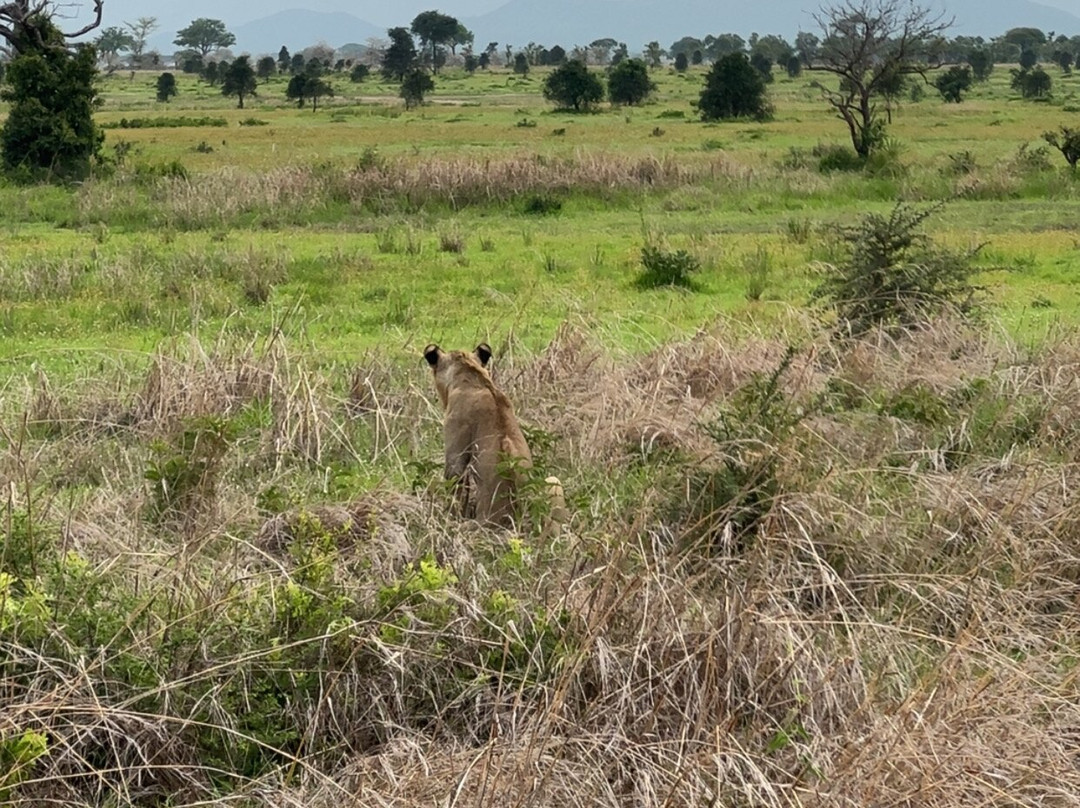 Marmara Holidays-Dar es Salaam必去景点