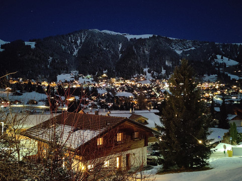 Ferien- und Familienhotel Alpina主图