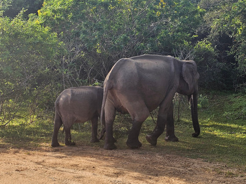 TrustGo Travels-埃勒必去景点