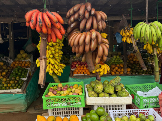 Sri Lanka Tour with Sujeewa-Kandana必去景点