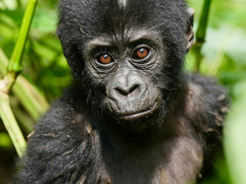 Adventure In The Wild Safaris-坎帕拉必去景点