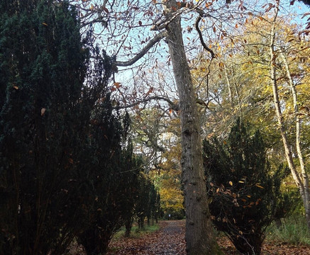 Thornham Walks-Eye必去景点