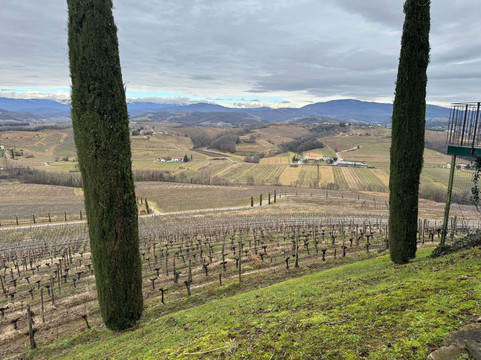 Azienda Agricola Livon-Dolegnano必去景点