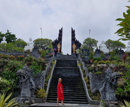 Menjangan Bali Driver Guide-佩母德兰必去景点