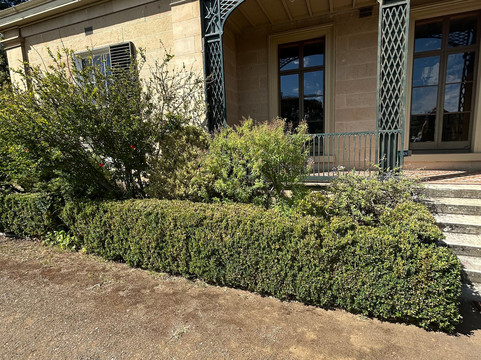 Runnymede-霍巴特必去景点