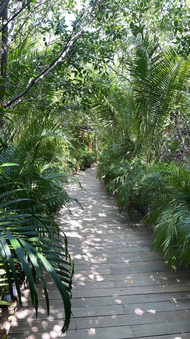 Aruba Ocean Villas-官方