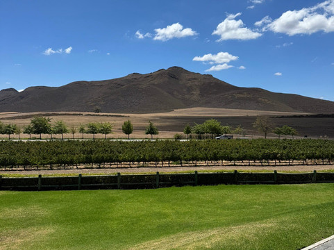 Stettyn Cellar-伍斯特必去景点